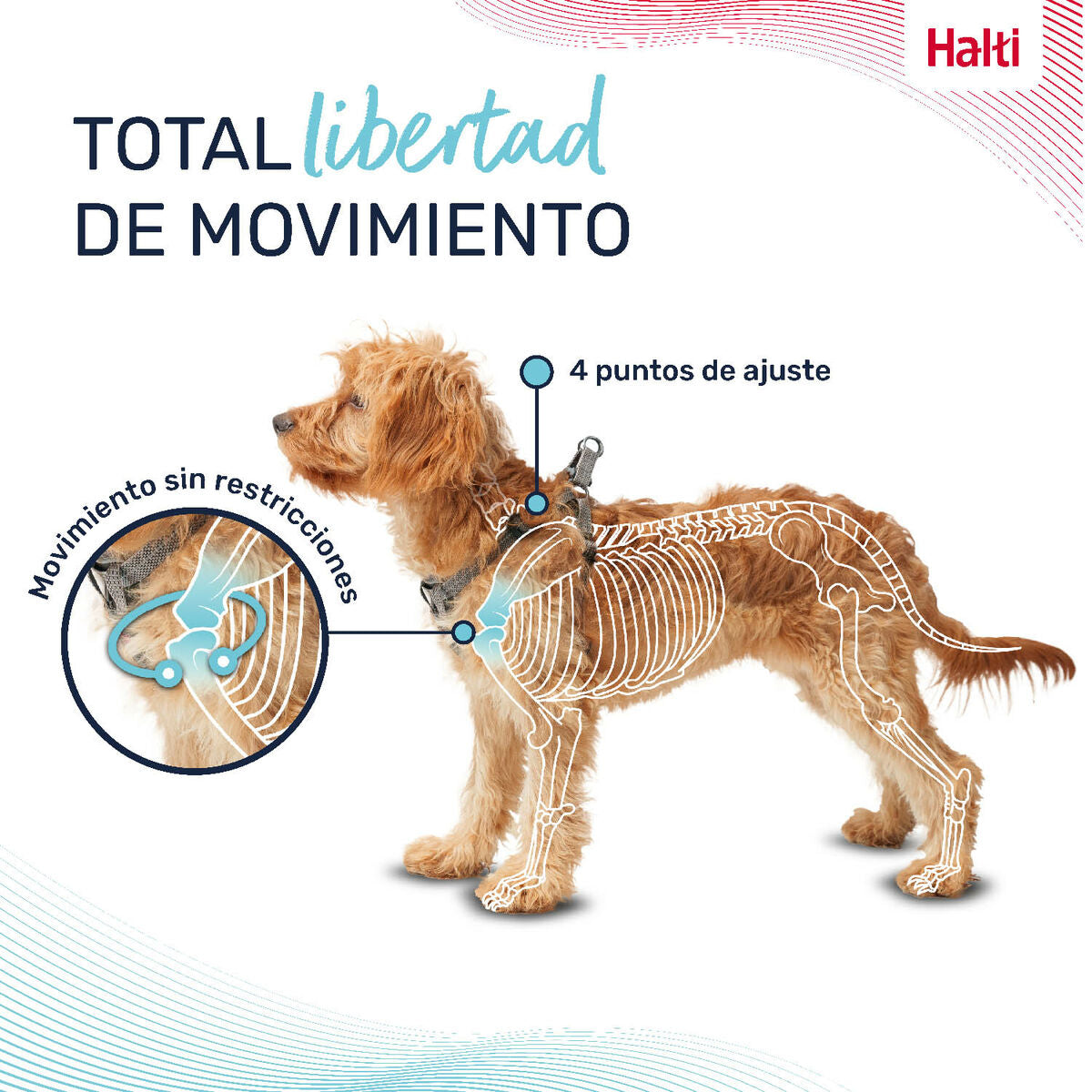 V4HD988725FD0F6BEF745A2D635852E80DER5328480P6