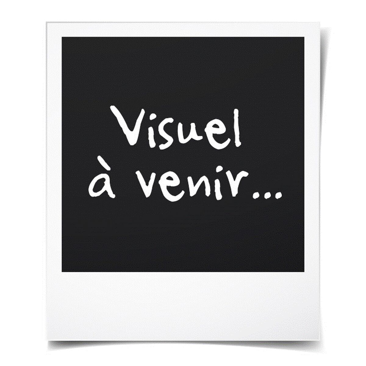 V4HAE33A336885555D214D9C2A13274B530R4587793P6