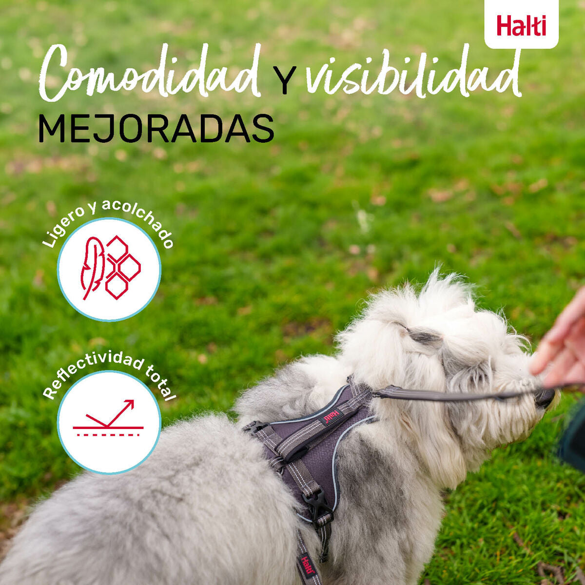 V4HDFB14628C3737574227AF7B47142E2F3R5328536P5