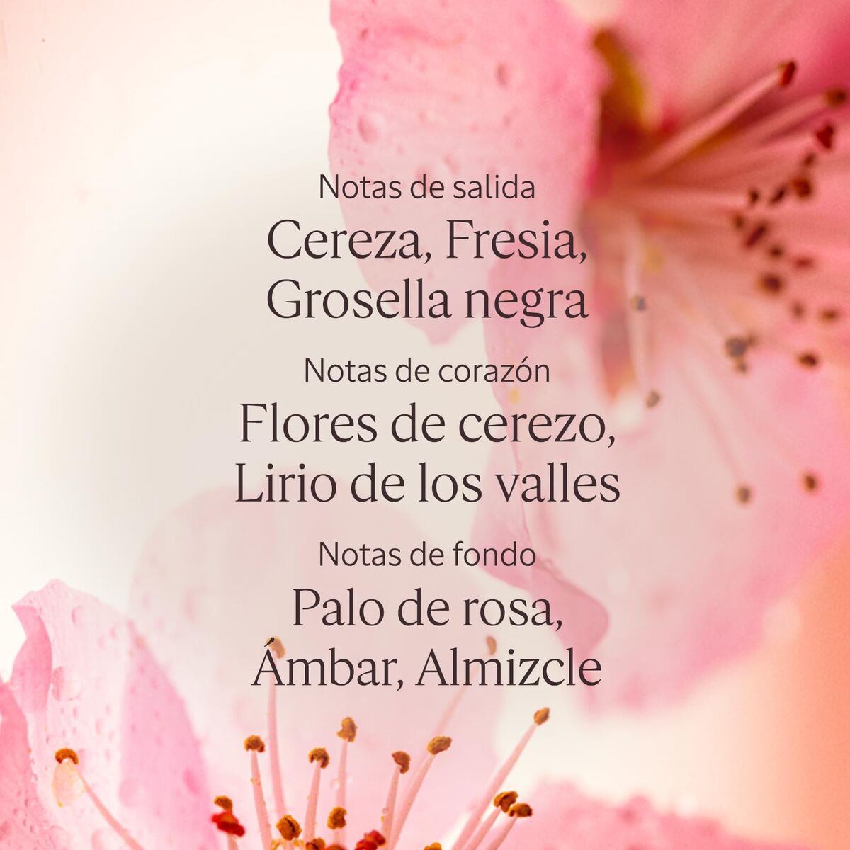 V2H029D432E27B76117FA4CEDA3B627E7A3R7407089P4
