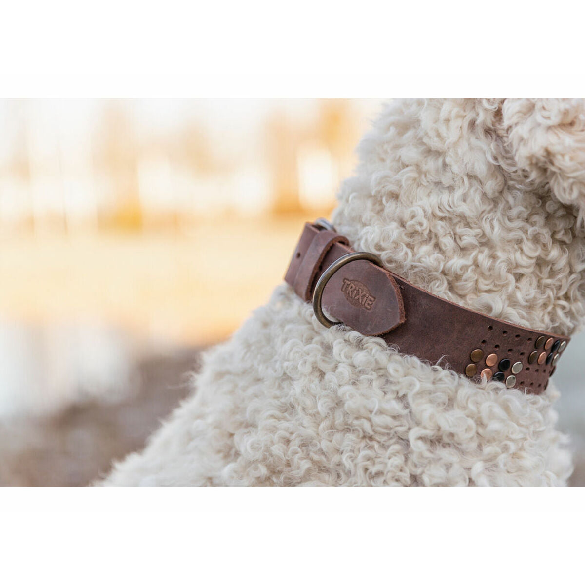 V2HE2610E403851CCD646F2AFA349DD88F7R7245573P9